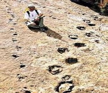 el_parque_cretacico_3